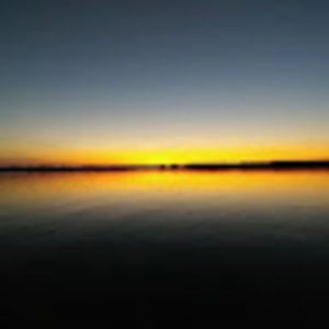 Meet your Posher, Archer